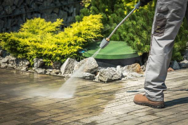 Best Vinyl Siding Pressure Washing in Ara, AL