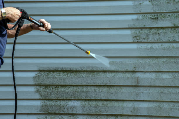 Best Driveway Cleaning and Restoration in Ara, AL